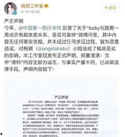 四字的娱乐爆料网名,四字爆料网名背后的秘密